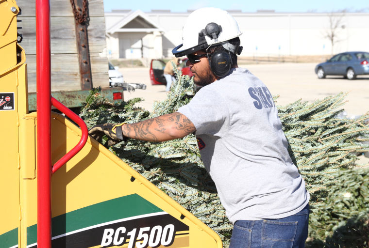 Christmas Tree Recycling
